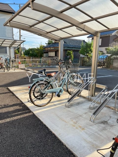 ハーブス　カモミール その他外観1