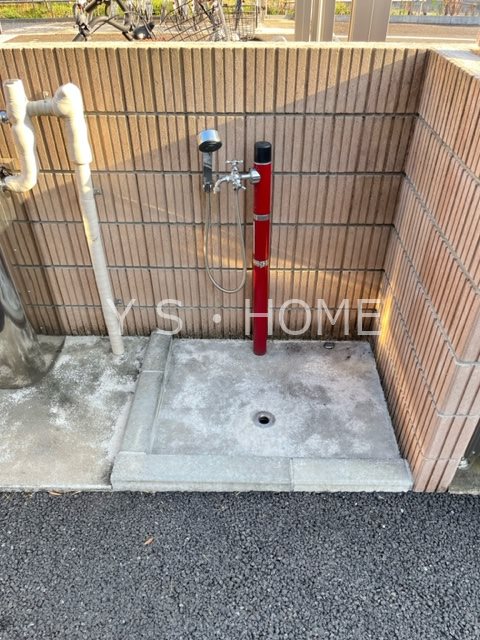 ハーブス　カモミール その他外観4