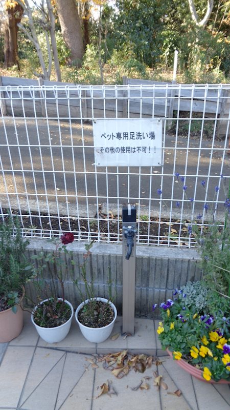 ケイ・フォレスト その他外観1