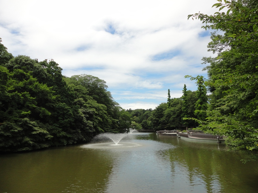 サンテラス吉祥寺 周辺画像2