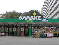 カインドネス小川西町 周辺画像6