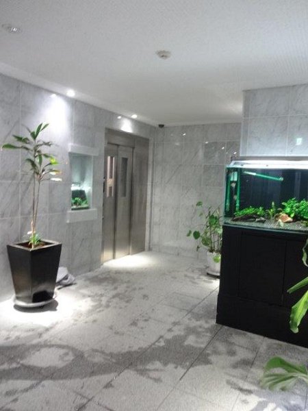 ホワイトステージ その他7