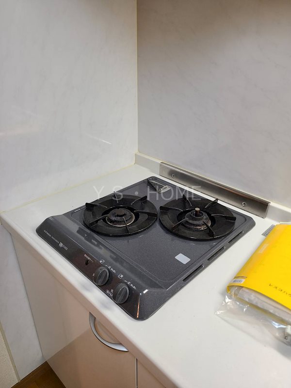 エリーゼ その他8