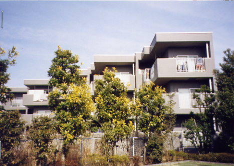 ステラガーデン武蔵小金井 外観