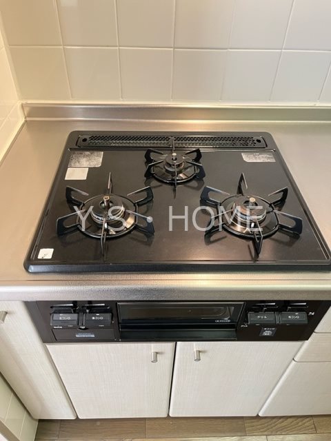 LANAI GRACE KUNITACHI その他19