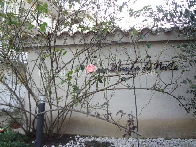 カサブランカＮ その他外観2