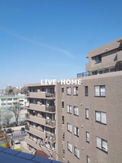 その他11