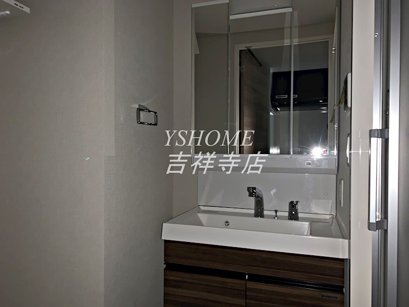 WHITE BIRCH その他1