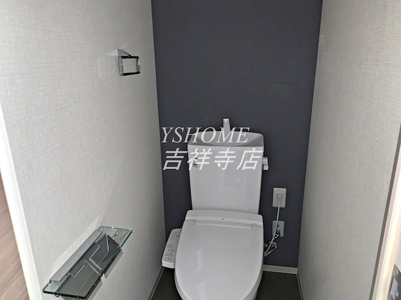 WHITE BIRCH その他2