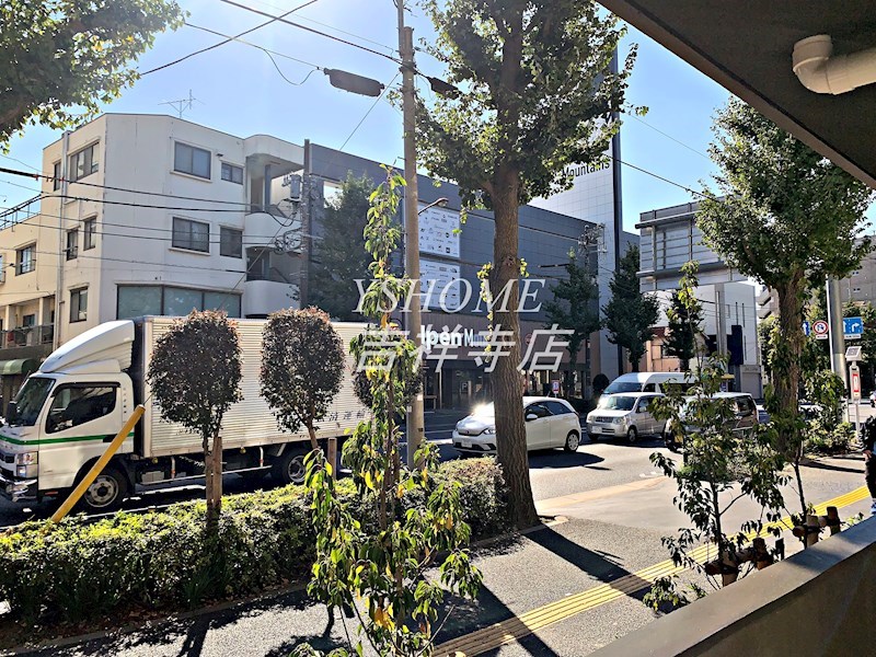 WHITE BIRCH その他4