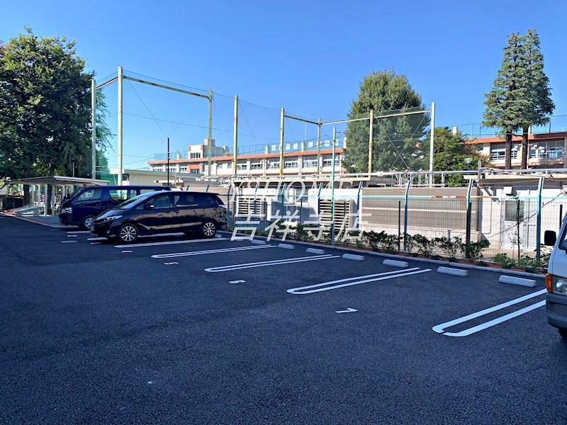 WHITE BIRCH その他6