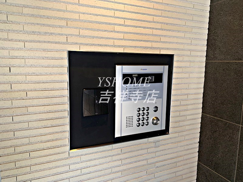 WHITE BIRCH その他7