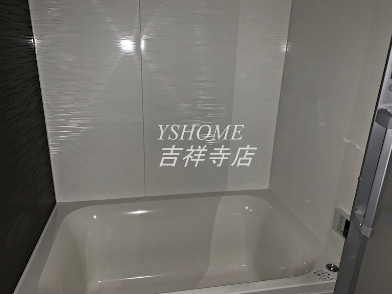 WHITE BIRCH その他11