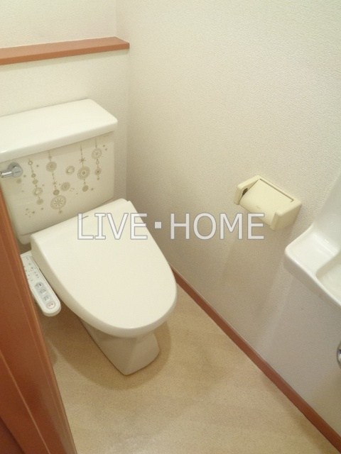 その他29