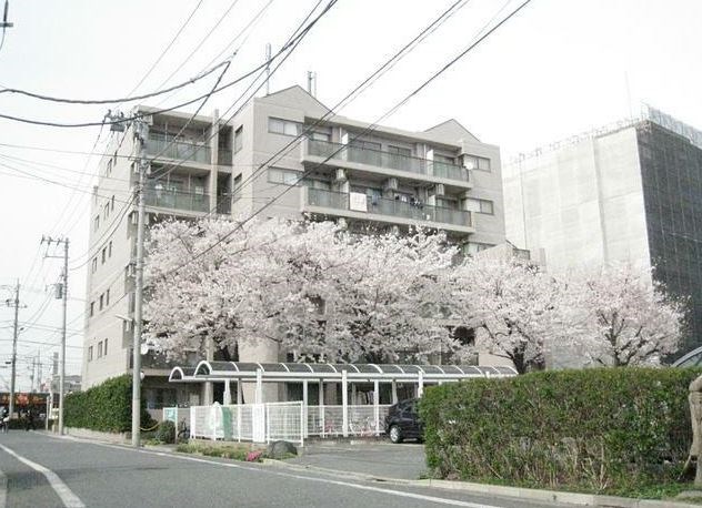 ライフステージ桜 その他8