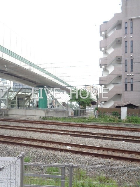その他13