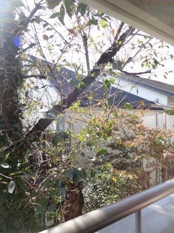 つばさの森 ベランダ