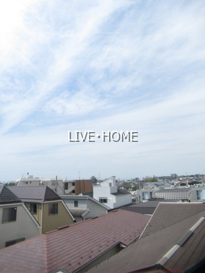 その他29