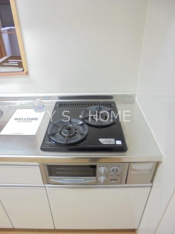 ヴェルドミールC その他15