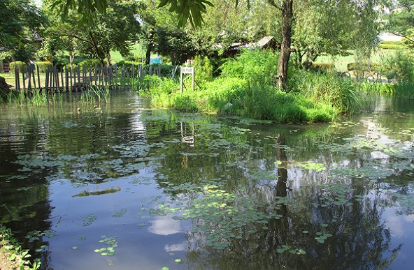 クティールＭ 周辺画像3