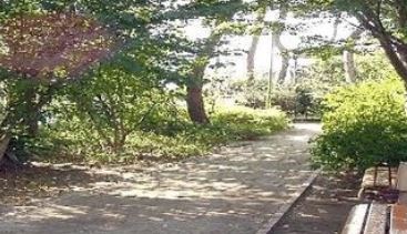 アリビオ松庵  周辺画像5