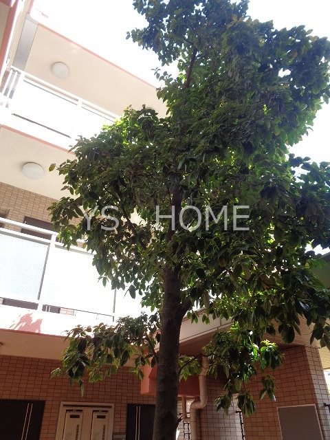 クリノン　 その他11