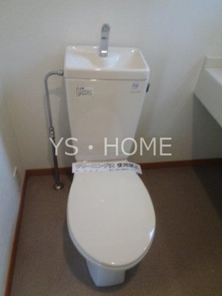 ブラウアー・フォーゲル　  その他2