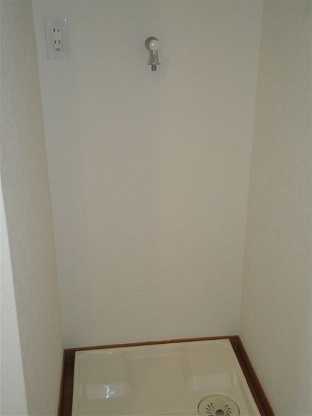 ブラウアー・フォーゲル　  その他6