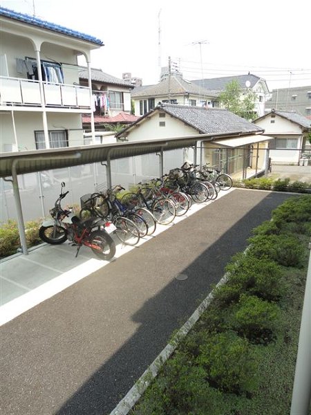 ブラウアー・フォーゲル　  その他8