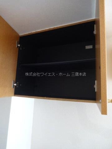 ブラウアー・フォーゲル　  その他11