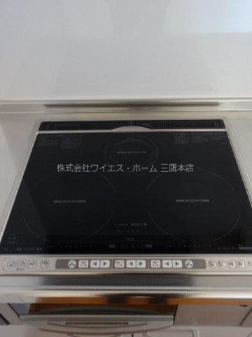 ブラウアー・フォーゲル　  その他12