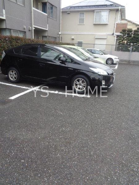 ブラウアー・フォーゲル　  その他15