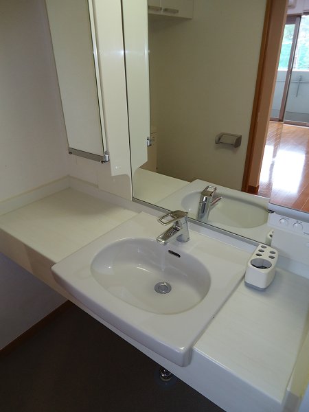 ブラウアー・フォーゲル　  その他1