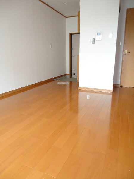 ブラウアー・フォーゲル　  その他5