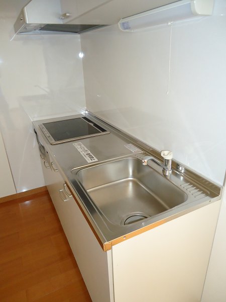 ブラウアー・フォーゲル　  キッチン