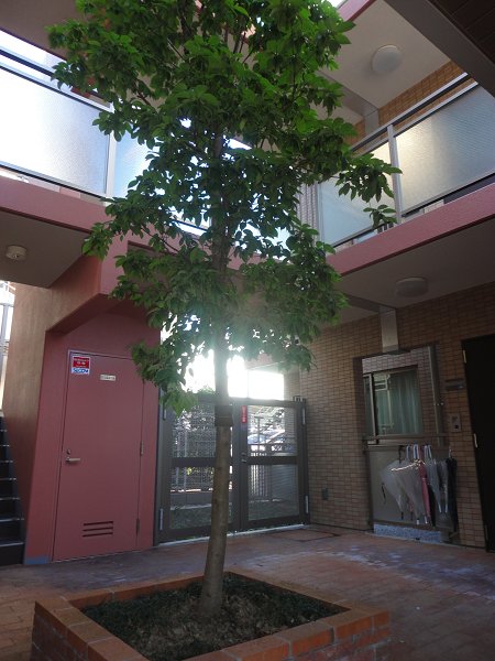 クリノン その他7