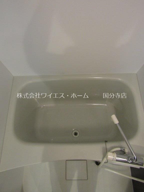 リブリ・ブランカ その他10