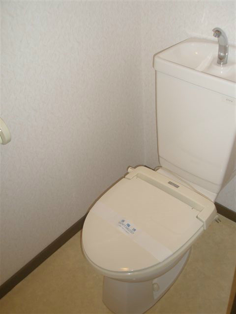 コモド・ヴィータ その他2