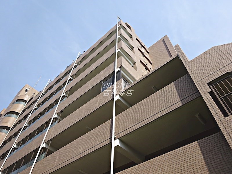 コート・イシハラ その他11