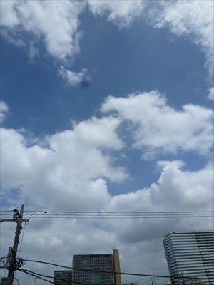 エスティメゾン高円寺  その他7