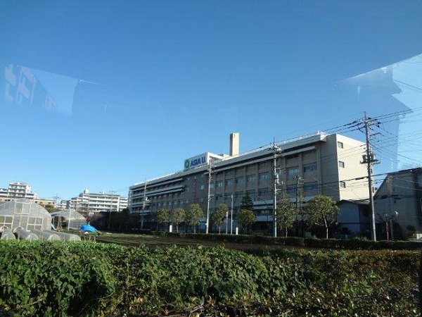 マグノリア千川 周辺画像10