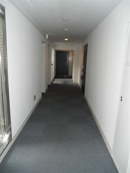 ダイナシティ新中野   その他12