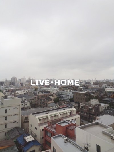 その他13