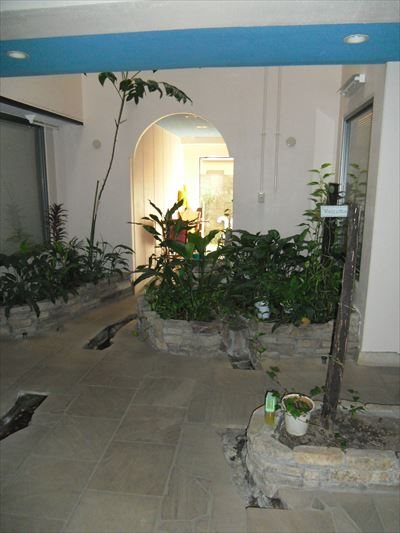 エルシオン その他外観1