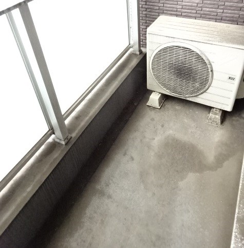 トラッセルズ   ベランダ