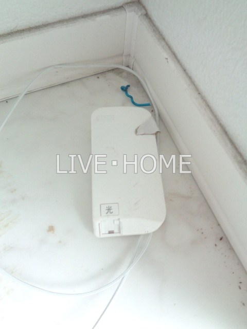 その他11