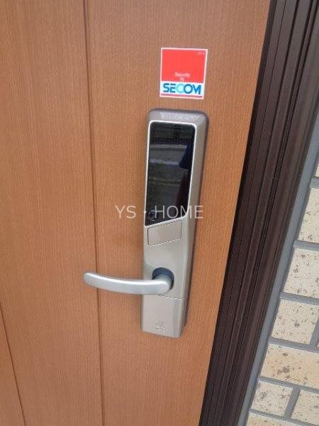 カトレア　ヴィオレ その他12