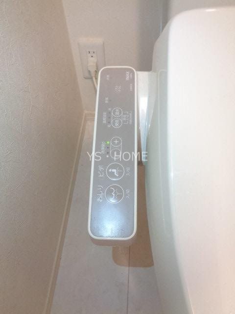 カトレア　ヴィオレ その他14