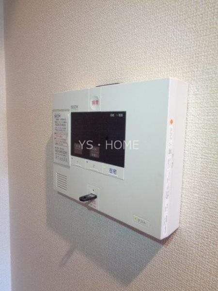 カトレア　ヴィオレ その他15