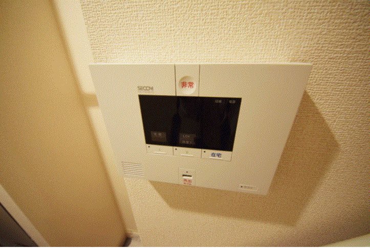 カトレア　ヴィオレ その他2